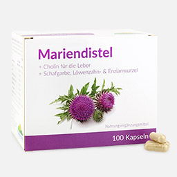 Mariendistel